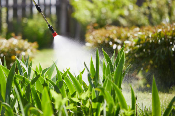 Tamper-Resistant Bait Stations for Rodents in Mayfield