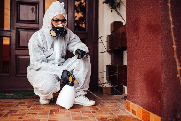 Attic and Crawl Space Rodent Treatment in Mayfield