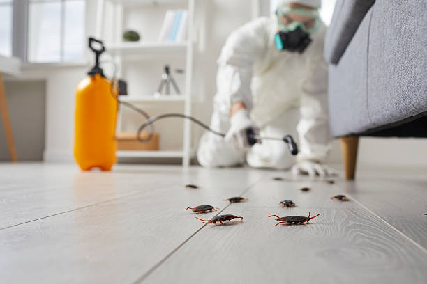 Commercial Rodent Management in Mayfield